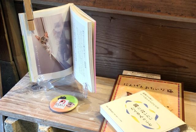 2025年 有田陶器市| 伝統工芸と猫がつなぐ チャリティーイベント開催! 9 猫本展示