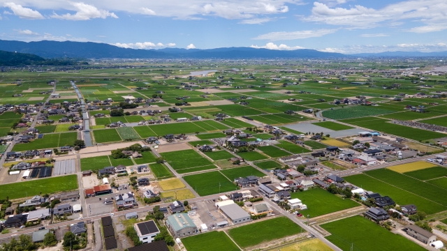 4c486ccf455f056c1380cbffb2f12407